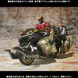 Photo5: S.I.C.極魂 Kamen Rider Kuuga Rising Mighty & Beat Chaser 2000 Set