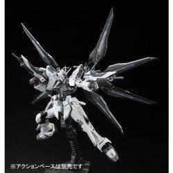 Photo3: RG 1/144 Strike Freedom Gundam Deactive Mode 【Re-sale】