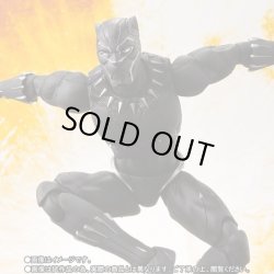 Photo2: S.H.Figuarts Black Panther (Avengers / Infinity War) 『September release』
