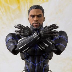 Photo2: S.H.Figuarts BLACK PANTHER -King of Wakanda- (AVENGERS : Infinity War) 『February 2020 release』