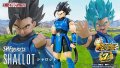 DRAGON BALL LEGENDS - S.H.Figuarts SHALLOT『January 2026 release』