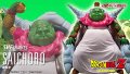 DRAGON BALL Z - S.H.Figuarts SAICHORO『February 2026 release』
