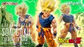 DRAGON BALL Z - S.H.Figuarts Super Saiyan SON GOKU 〈FIGHTER OF RAGE〉 『July 2026 release』