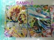 Photo4: Dragon Ball Heroes V Jump Ultimate Pack 5 "UP5" God Mission