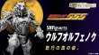Photo10: Kamen Rider FAIZ - S.H.Figuarts Wolf Orphnoch 