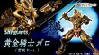 Photo7: S.H.Figuarts Golden Knight Garo (Raikou Ver.) 『November release』