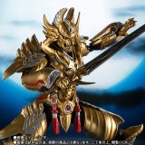 Photo: S.H.Figuarts Golden Knight Garo (Raikou Ver.) 『November release』