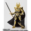 Photo7: S.H.Figuarts (Shinkocchou Seihou) Golden Knight GARO (Saejima Raiga)