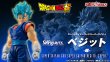 Photo4: DRAGONBALL Super - S.H.Figuarts Super Saiyan God Super Saiyan VEGITO -Super-
