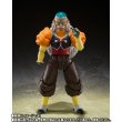 Photo4: DRAGONBALL Z - S.H.Figuarts ANDROID 20 『January 2024 release』