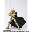 Photo5: S.H.Figuarts (Shinkocchou Seihou) Golden Knight GARO (Saejima Kouga) GARO 20th Anniversary ver.『July 2025 release』