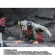 Photo11: NARUTO - S.H.Figuarts JIRAIYA - The Hero of Konoha, Master of Senjutsu - Sage Mode Set 『August 2025 release』