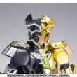 Photo11: Saint Cloth Myth EX Gemini SAGA 〜LEGEND of SANCTUARY EDITION〜