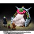 Photo5: DRAGON BALL Z - S.H.Figuarts SAICHORO『February 2026 release』