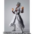 Photo4: MY HERO ACADEMIA - S.H.Figuarts DABI 『November 2025 release』