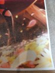 Photo3: Canvas Print Sword Art Online II Yuuki Wall Art Poster (Frameless)