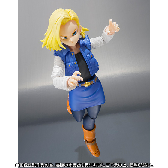 Photo: DRAGON BALL Z - S.H.Figuarts Android 18