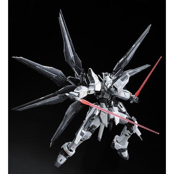 Photo: RG 1/144 Strike Freedom Gundam Deactive Mode 【Re-sale】