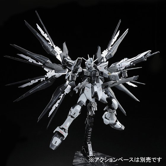 Photo: RG 1/144 Strike Freedom Gundam Deactive Mode 【Re-sale】
